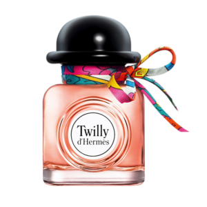 TWILLY D'HERMES