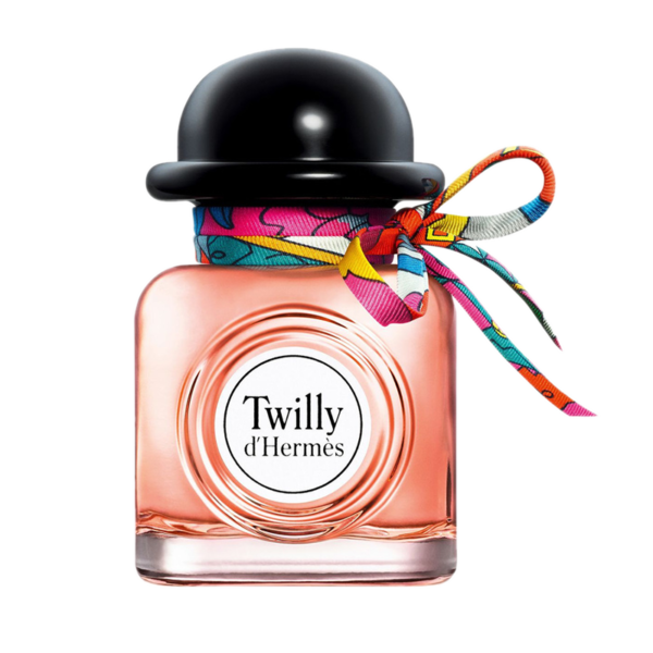 TWILLY D'HERMES